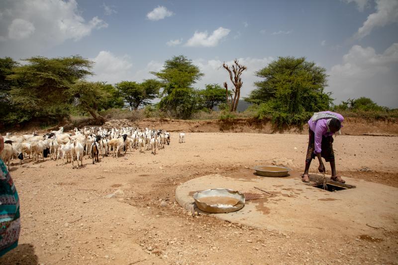 Horn of Africa Hunger crisis, Horn of Africa drought, Kenya drought, Somalia drought, Somalia Famine